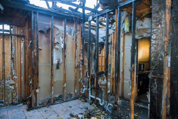 Professional Structural Rebuild technician working in Gold Hill, OR